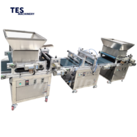 Machine de semis automatique pour plateaux de semis de poivrons et de légumes, ligne de remplissage rapide de plateaux, machine de semis pour pépinières agricoles et plateaux de semis