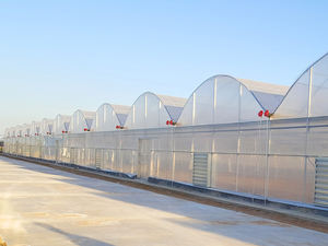 Goedkope Tomaat Multi- Span Multi-Tunnels Agrarische Groenhuis Metalen Landbouwkas - Product Image 4