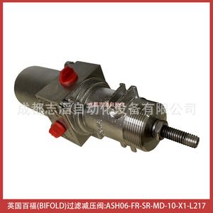 Vanne de réduction de pression à filtre double pliante Ash06-Fr-Sr-Md-10-X1-L217 1/2 pouce pour gaz et pneumatique - Product Image 4