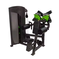 Équipement de musculation Gym Pin Loaded Arm Curl Fitness Machine