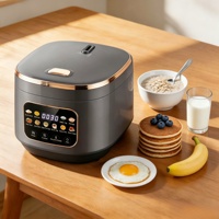 Autocuiseur Électrique Intelligent WT-A13-3.0L avec Minuteur 24H, Maintien au Chaud 24H, Écran LCD et 10 Modes de Cuisson