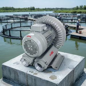 เครื่องเป่าลมแบบวงแหวน Vortex Side Channel ขนาด 250W-25kW ประหยัดพลังงาน สำหรับการขัด<span class=keywords><strong>เลน</strong></span>ส์ ระบายความร้อน และเคลือบผิวด้วยแหล่งกำเนิดไอออน - Product Image 1