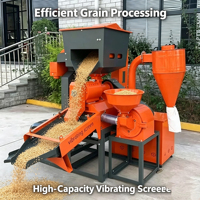 Ligne complète de décorticage et de polissage du riz, machine combinée de décorticage et de polissage du riz 500-800 kg/h pour entreprise de riziculture à domicile
