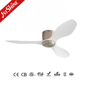 1stshine Led Ventilador de techo 2 en 1 <span class=keywords><strong>con</strong></span> opción de luz o sin luz Perfil bajo ABS Blades Ventilador de techo <span class=keywords><strong>con</strong></span> motor de CC - Product Image 1