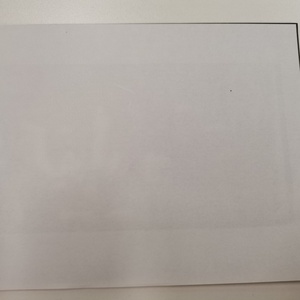 Trampa Adhesiva para Insectos, Fuerte Adhesivo, para Invernaderos y Granjas - Product Image 4