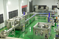 Machine de remplissage complète entièrement automatique 3 en 1 pour petites bouteilles d'eau potable Ligne de production d'embouteillage d'eau minérale pure