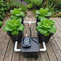 Système d'irrigation automatique de jardin, système hydroponique Dutch Bucket Rdwc avec pompe