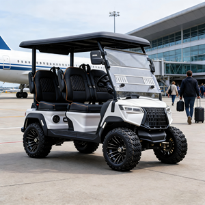 Navette de terminal d'aéroport LSV (véhicule à faible vitesse), voiturette de golf électrique 4 places, véhicule à faible vitesse pour le transport de passagers et de bagages - Product Image 1
