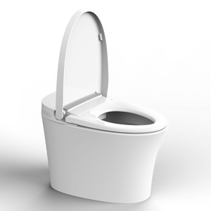 Inodoro inteligente de una pieza montado en el suelo con tanque oculto elegante WZ3601 de gran oferta de <span class=keywords><strong>Bolina</strong></span> - Product Image 3