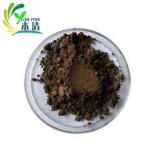 Miglior Prezzo, Fornitura Diretta dalla Fabbrica, Estratto in Polvere di Bacche di Saw Palmetto Naturale, 99% Alta Qualità, Fusto da 25kg - Product Image 1