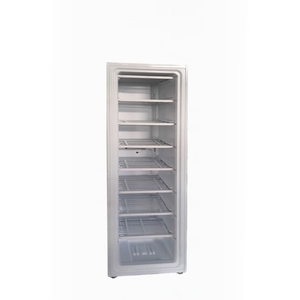 Congélateur vertical de qualité supérieure du marché sénégalais, 298 litres, avec 8 étages pour la fabrication de glace et le stockage du poisson, pour usage commercial - Product Image 2