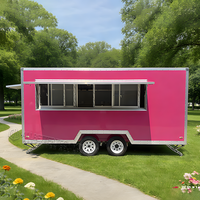 Food Truck pour Zones Touristiques Offrant des Doner Kebab, Gyros, Falafel, des Boissons et du Café Turc Populaire