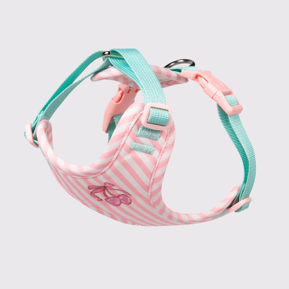 Pink-Harness