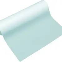 Dust Free Clean Color A4 Copy Paper For High-Purity Clean Rooms