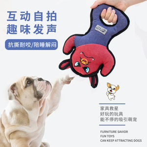 Juguete para perros Kara, juguete para masticar duradero con sonido de mono para entrenamiento, diversión y dentición, suministros para mascotas - Product Image 4