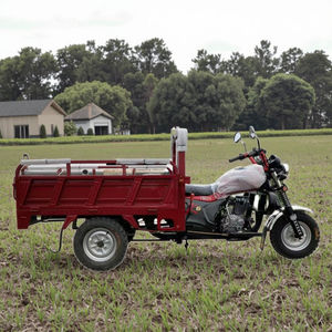 Tricycle de haute qualité fabriqué en Chine, diesel, électrique, <span class=keywords><strong>3</strong></span> roues, mini camion à moteur à essence, moto, cargo, usage domestique - Product Image 6