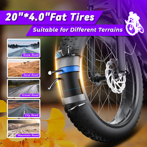 Bicicleta Eléctrica de Montaña de 52V 20AH con Motor sin Escobillas de 250W, Neumáticos Anchos de Alta Velocidad, Frenos de Disco Hidráulicos de 7 Velocidades para Desplazamientos Diarios, OEM - Product Image 2