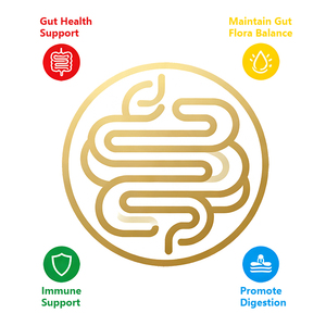 Groothandelsprijs C Veganistische Orale Dunne Filmsupplement 100 Miljard Cfu Akk Probiotica Slanke Orale Strip Voor Het Bevorderen Van De Spijsvertering - Product Image 4