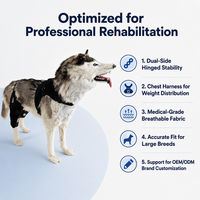 Harnais de soutien arrière pour chien PETSGUARD, pour mobilité canine senior, articulations de la hanche, récupération post-chirurgie LCA, en maille respirante