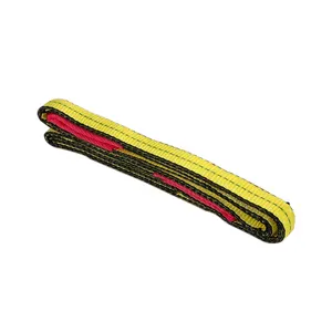 US Standard 2-Ply 1-Inch 25mm Heavy Duty 3100LBS Custom Color 1 Ton Capacity OEM Supported Polyester Flat Webbing Lifting Strap