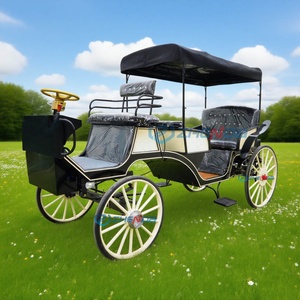 Carruaje Turístico Eléctrico de Doble Fila, Carruaje de Uso Común en Bodas y Hoteles, Carruaje Romántico Estilo Cenicienta, Gran Venta - Product Image 2