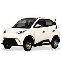 Nuevo Modelo de Vehículo Eléctrico Familiar de Cinco Puertas y Cinco Plazas, Totalmente Cerrado, de Cuatro Ruedas para Adultos