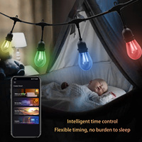 Ampoules Edison transparentes en acrylique étanches HRSYT DC24V, éclairage Bitro, changement de couleur, blanc chaud RGBW, guirlande lumineuse LED d'extérieur pour patio