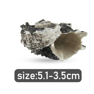 Artesanías <span class=keywords><strong>de</strong></span> Conchas DIY en Bolsas <span class=keywords><strong>de</strong></span> <span class=keywords><strong>Red</strong></span>, un Éxito <span class=keywords><strong>de</strong></span> Ventas - Product Image 3