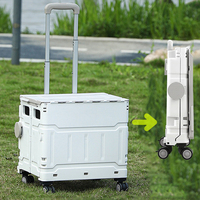 Chariots pliants utilitaires à poignée noire et blanche, poussette pour animaux de compagnie, chariot de rangement en plastique, chariot de marché, de camping, de promenade, 4 ou 8 roues