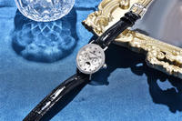 Montre Pagani Design 1789 Chronographe Diamant Casual Fournisseur Élégant OEM Montre Quartz Femme Bracelet Vive Étanche