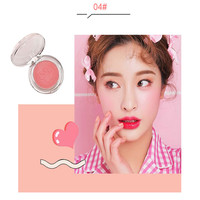 Palette de fard à paupières motif patte de chat, Palette de Blush pour le visage, sans LOGO, 10 couleurs, simple