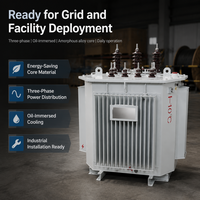 Transformateur de distribution amorphe 1600 kVA, triphasé, à noyau bobiné 3D, immergé dans l'huile, norme IEC60076, tension KVA personnalisée
