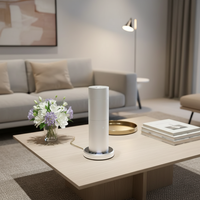 Diffuseur d'arômes intelligent sans fil en aluminium argenté, personnalisé, contrôlé par application, pour une diffusion d'arômes privée et électrique.