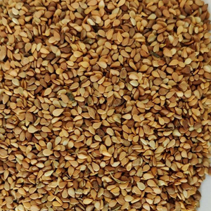 เมล็ดงาสีเหลืองทองสดใหม่สำหรับทดลองทำสูตรอาหารตามความต้องการของลูกค้า - Product Image 4