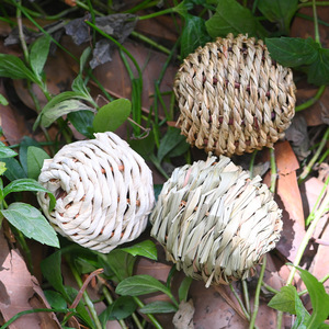 Balles tressées en paille pour animaux de compagnie, taille S, jouets à mâcher pour oiseaux, usage intérieur, motif uni, matériau en herbe, origine Fujian - Product Image 1
