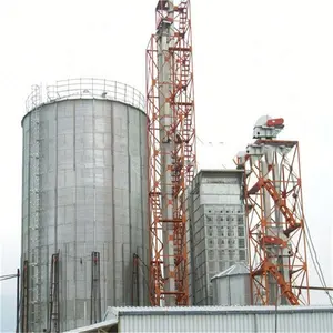 Lưu Trữ Silo Cho 100 Tấn Hạt Lúa Gạo