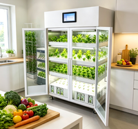 Système d'armoire de culture hydroponique intelligente pour la maison, l'école, la recherche en agriculture verticale, cultivateur de semis