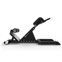 Équipements de chaise romaine d'extension arrière commerciale banc d'exercice hyper d'extension de 45 degrés chaise romaine