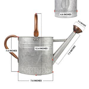 Eccellente produttore 1 gallone di metallo ovale innaffiatoio riutilizzabile innaffiatoio con beccuccio Spray rimovibile maniglia superiore mobile - Product Image 5