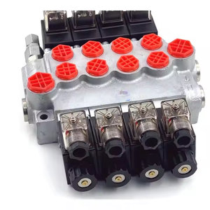 Válvula Solenoide de Control P40-DKL para Soluciones Hidráulicas,  Colaboración OEM y ODM - Product Image 3