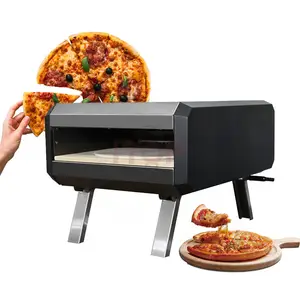 Four à gaz Portable pour barbecue en acier inoxydable, four à Pizza pour Camping, jardin, fête, four rotatif