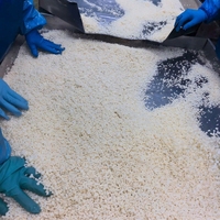 Ajo Chino Halal IQF Congelado Pelado al por Mayor, Grado A, Congelado para Exportación