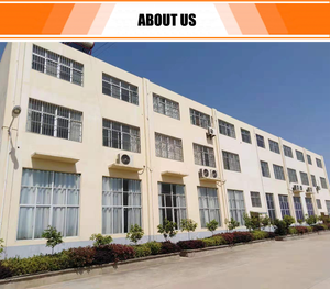 Belle précision <span class=keywords><strong>moto</strong></span> roulements à billes 6004 6201 6202 6203 6300 6301 RS céramique acier inoxydable chromé Nylon plastique Cage ZZ - Product Image 6