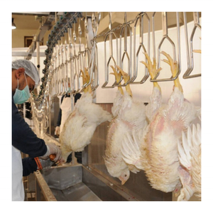 Lebende Geflügel blutung und-verarbeitung Automatische Vonvey-Schiene für Hühnerenten-Schlachthof-Schlachthof ausrüstung - Product Image 2