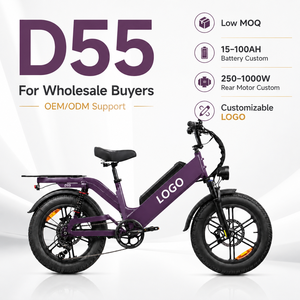 Bicicleta Eléctrica de Reparto D55 con Motor de 100W/750W, Batería Personalizada de 55AH/80AH, Bicicleta Eléctrica con Llantas Anchas para Adultos, Venta al Por Mayor - Product Image 1