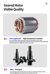 <span class=keywords><strong>Motorreductor</strong></span> de CA de 220V 50HZ 120W con eje hueco y eje sólido, con reductor de <span class=keywords><strong>velocidad</strong></span> - Product Image 4
