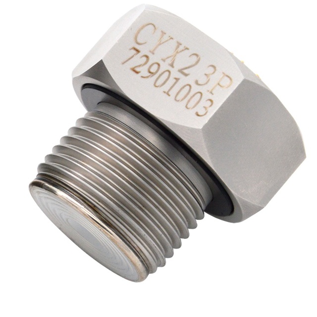 100% Original CYX23P Universal Auto Fuel Rail Pressure Sensor with 316L Stainless Steel and CE Certified