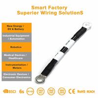 Rangkaian Kabel Penginderaan Tegangan Komunikasi BMS untuk Paket Baterai Li-ion, dengan Konektor JLG, TE