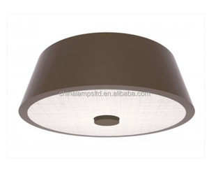 Lámpara de Techo Moderna con Difusor Acrílico, Certificada por UL, 2 Bombillas, Estilo Hilton Hampton Inn Suite, Montaje en Superficie - Product Image 5