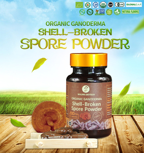 Wuling Preço Atacado Cápsula <span class=keywords><strong>Ganoderma</strong></span> Lucidum Cápsula Lingzhi Reishi - Product Image 3